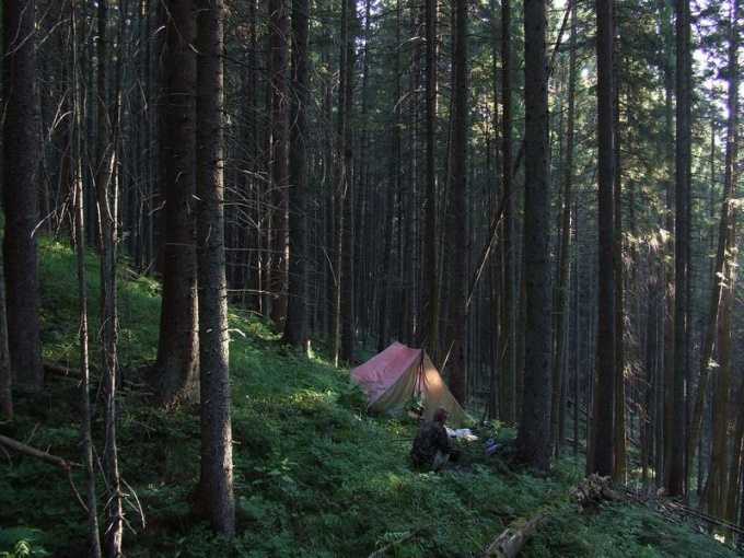 Как переночевать в лесу
