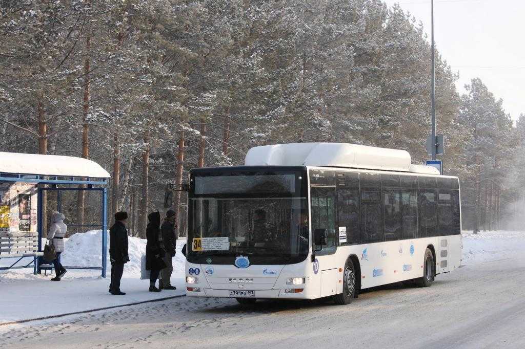 автобус на остановке