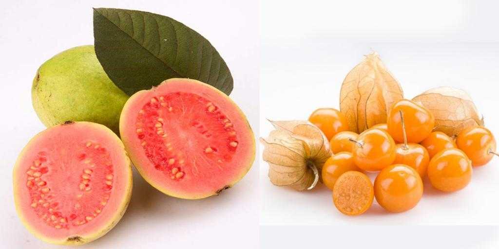 Плоды физалиса и гуавы