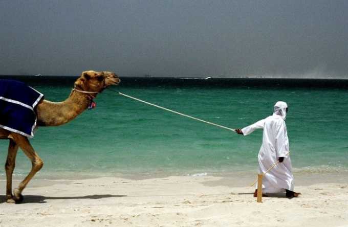 Как отправиться в путешествие в ОАЭ
