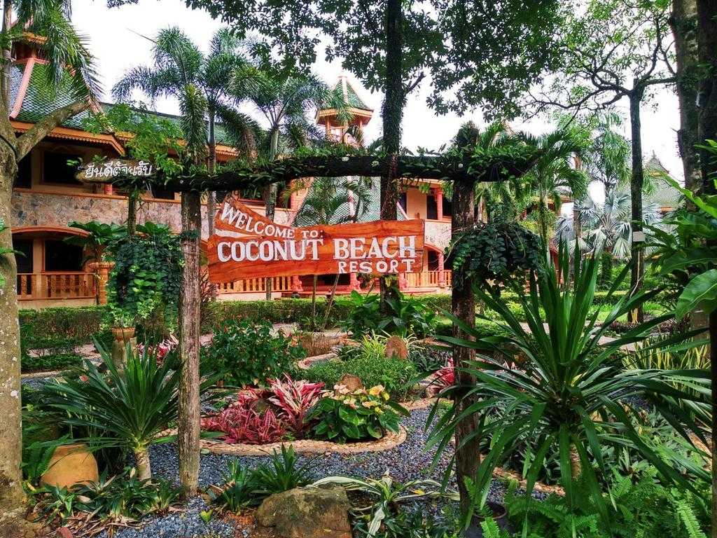 coconut beach resort 3 отзывы
