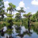 Национальный парк Эверглейдс (Everglades): описание, фото, интересные места