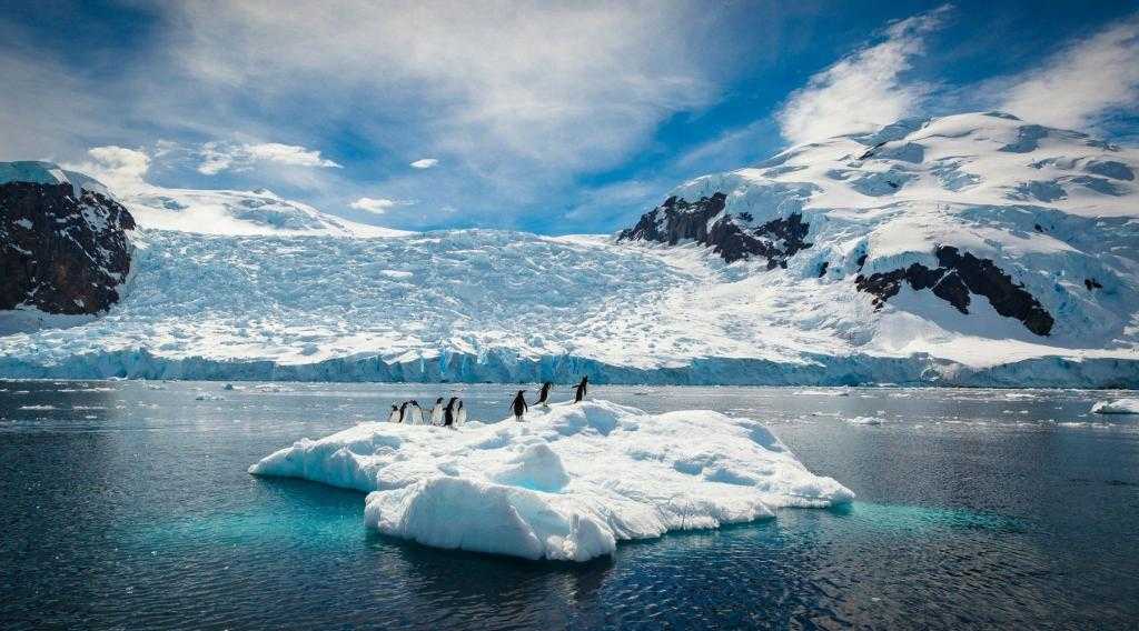 Тур в Антарктиду