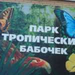 Парк бабочек в Новосибирске: адрес, время работы, отзывы