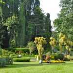 Королевский ботанический сад (Шри-Ланка): описание, как доехать, отзывы